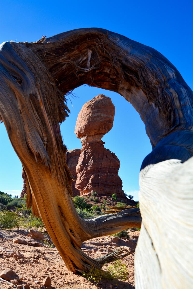 Arches National Park